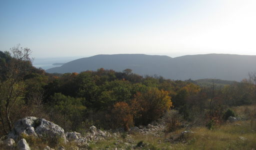 Земельный участок площадью 25656 кв.м. с видом на море и на горы, лот 1301