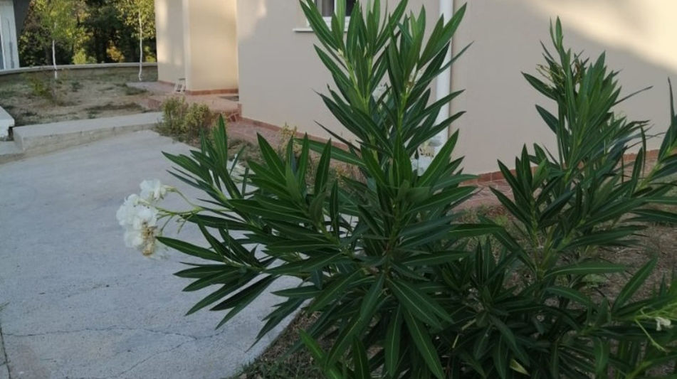 Дом площадью 1200 кв.м. с видом на море, лот 1310