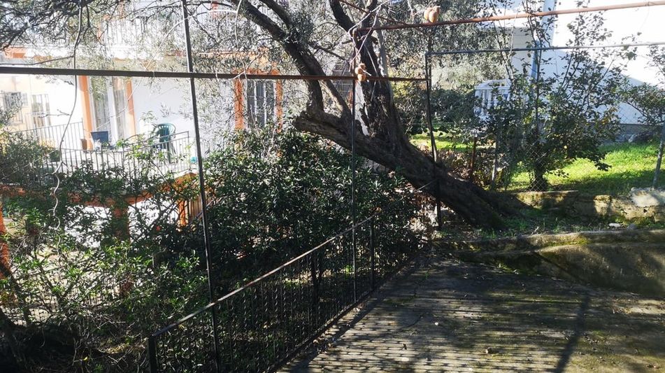 Дом площадью 225 кв.м. с видом на море, лот 421