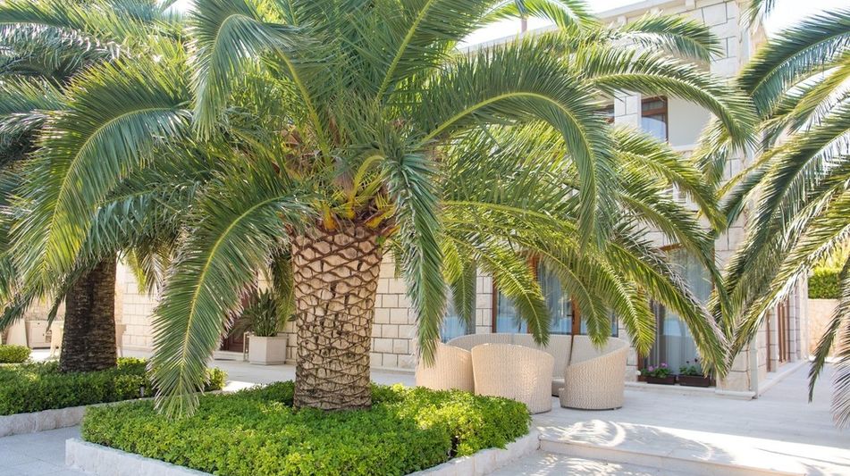 Дом площадью 286 кв.м. с видом на море, лот 643