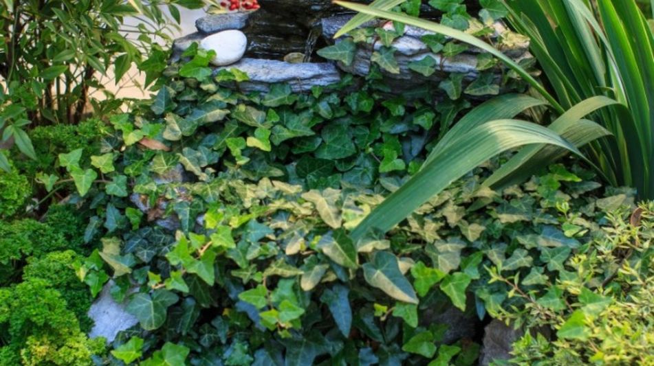 Дом площадью 240 кв.м. с видом на море, лот 668