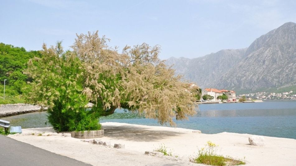 Дом площадью 500 кв.м. с видом на море, лот 677