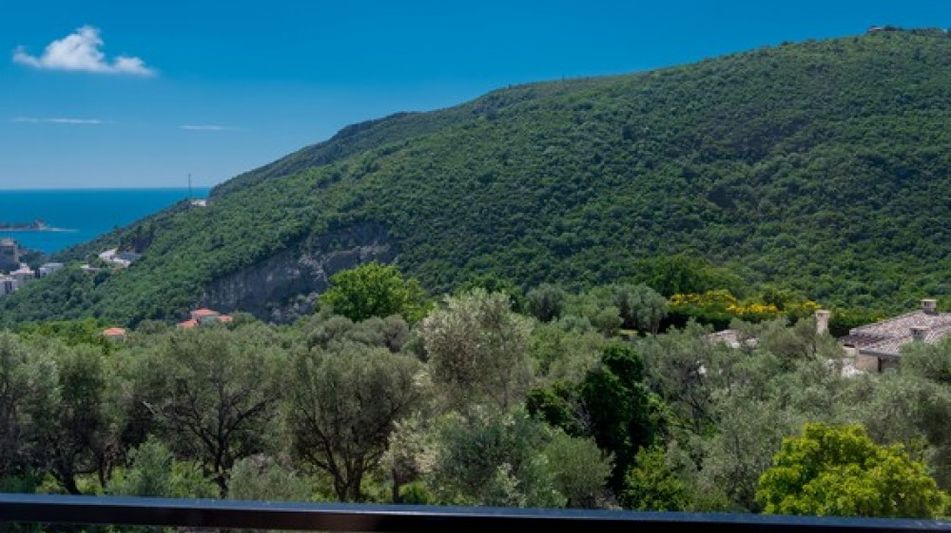 Дом площадью 470 кв.м. с видом на море, лот 921