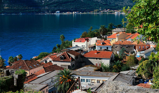 Недвижимость в Херцег Нови